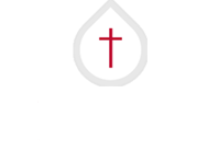 The Platform International